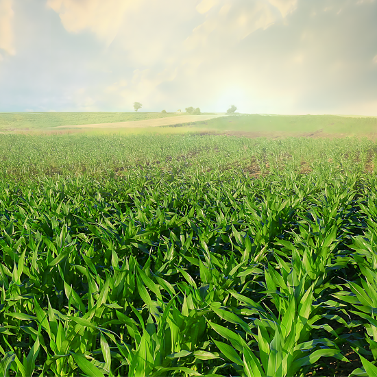Huron County Agricultural Drone Service | Over seeding and Spraying | Michigan Huron County Agricultural Drone Service | Over seeding and Spraying | Michigan